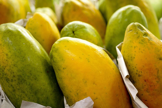 Governo prorroga prazo para cadastro na Agricultura Familiar - News Rondônia