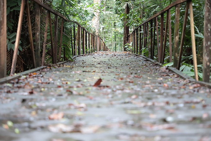 Parque Natural estará fechado na próxima sexta-feira (7) - News Rondônia