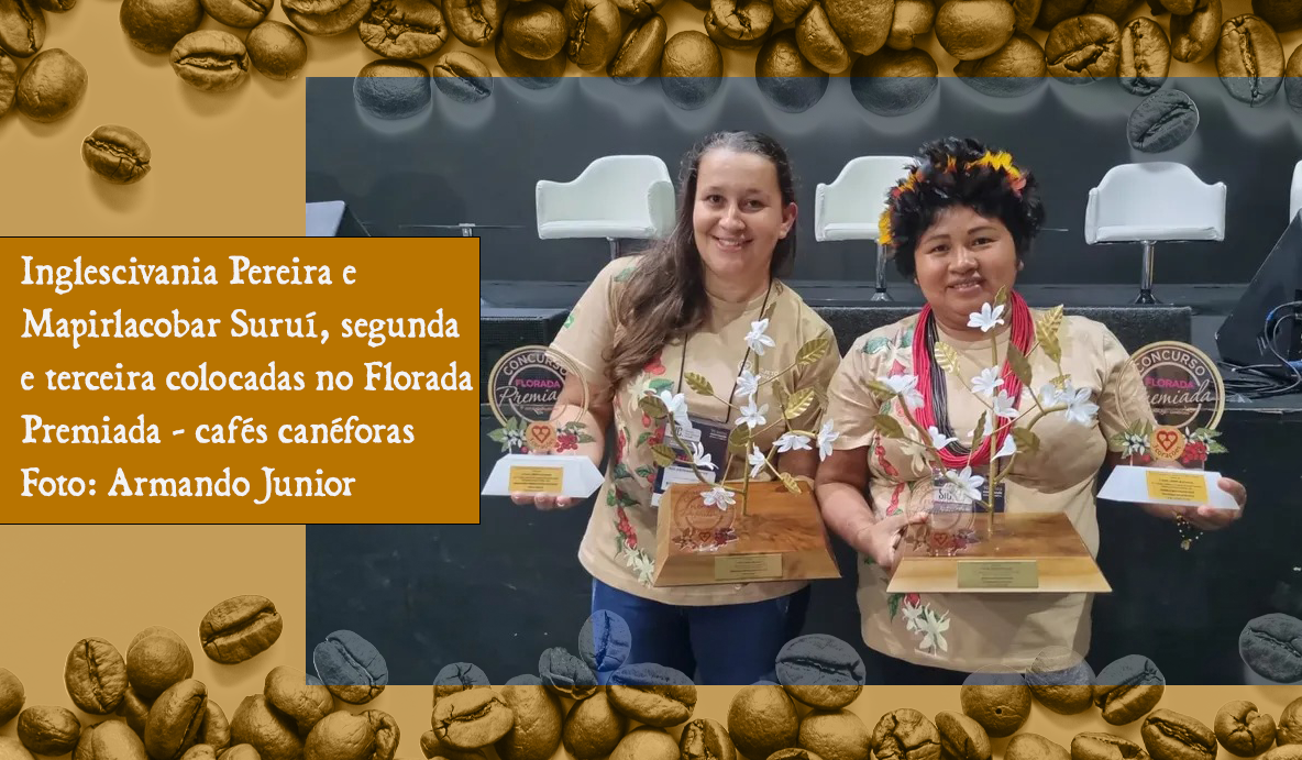 Produtoras de Rondônia conquistam as três primeiras posições no concurso nacional de cafés - News Rondônia