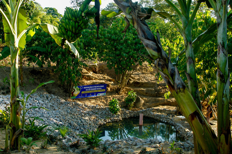 Da recuperação de nascentes até biogás de esterco de boi, público tem acesso a tecnologias na Rondônia Rural Show - News Rondônia