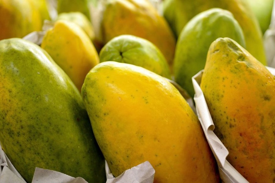 Boletim Prohort aponta para queda nos preços de frutas e alta nas cotações de hortaliças - News Rondônia