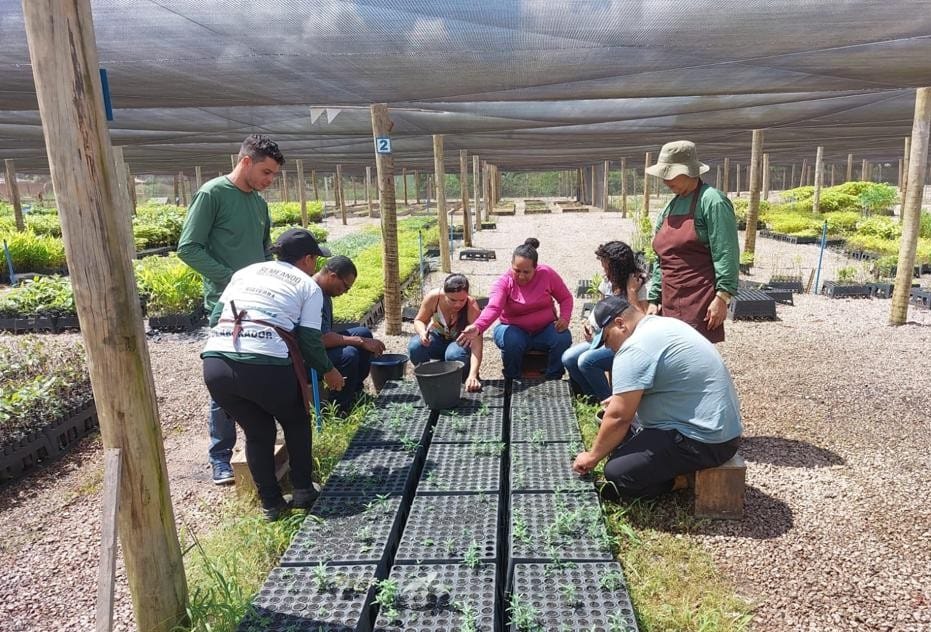 Centro de Estudos Rioterra promove capacitação sobre "Produção de Mudas e Coleta de Sementes" - News Rondônia