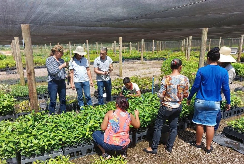 Centro de Estudos Rioterra promove capacitação sobre "Produção de Mudas e Coleta de Sementes" - News Rondônia