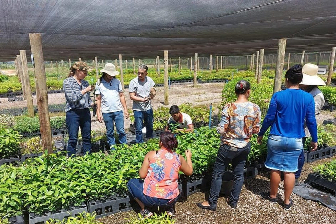 Centro de Estudos Rioterra promove capacitação sobre "Produção de Mudas e Coleta de Sementes" - News Rondônia