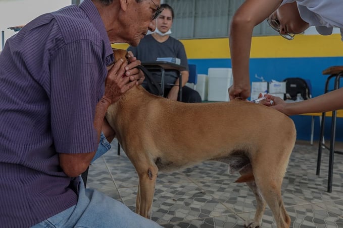 Vacinação para cães e gatos será realizada nos condomínios do Bairro Novo - News Rondônia