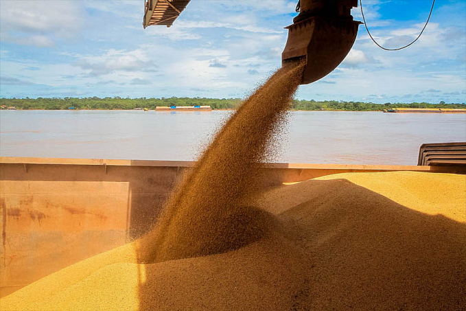 Agronegócio avançou com investimentos do Governo de Rondônia em ações neste ano - News Rondônia