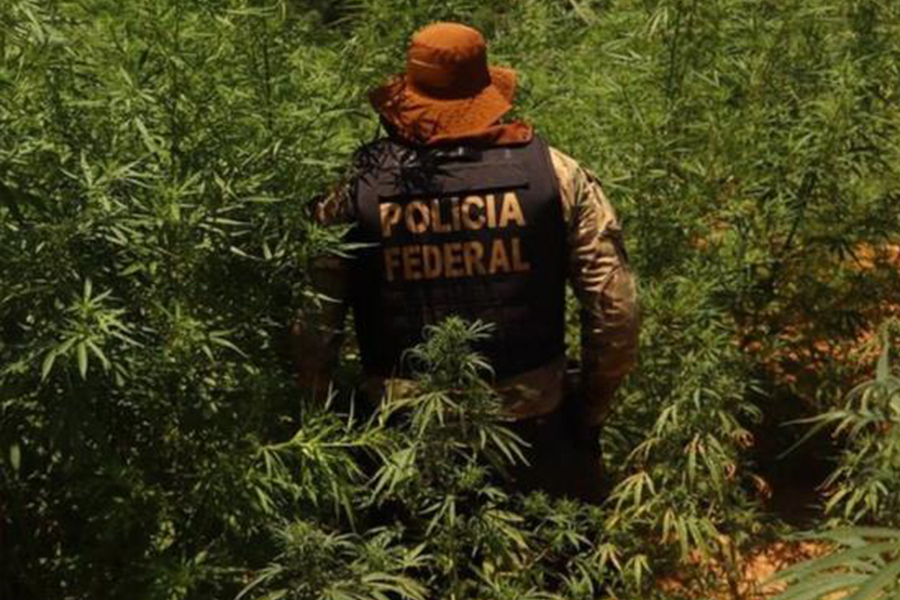 PF destrói laboratório que produzia 10 toneladas de cocaína por mês e prende 4 - News Rondônia