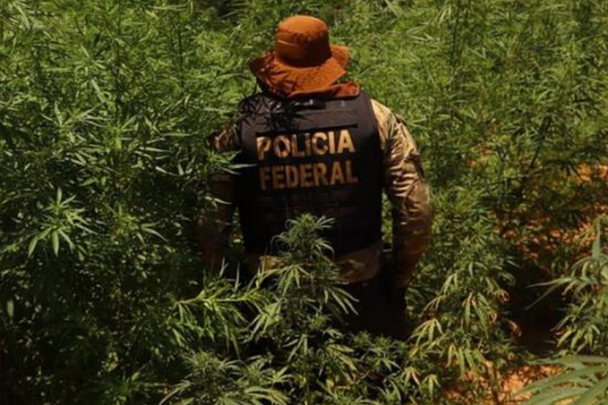 PF destrói laboratório que produzia 10 toneladas de cocaína por mês e prende 4 - News Rondônia