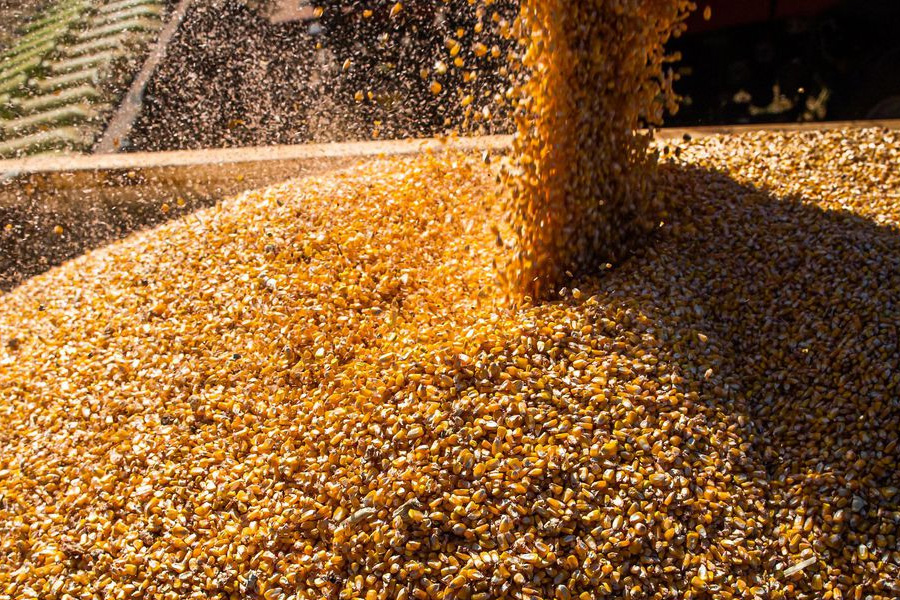 Exportações do agronegócio batem recorde em janeiro - News Rondônia