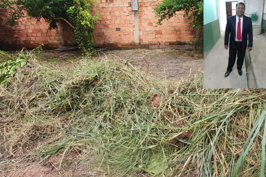 Trabalhador morre enquanto limpava terreno na zona leste de Porto Velho - News Rondônia