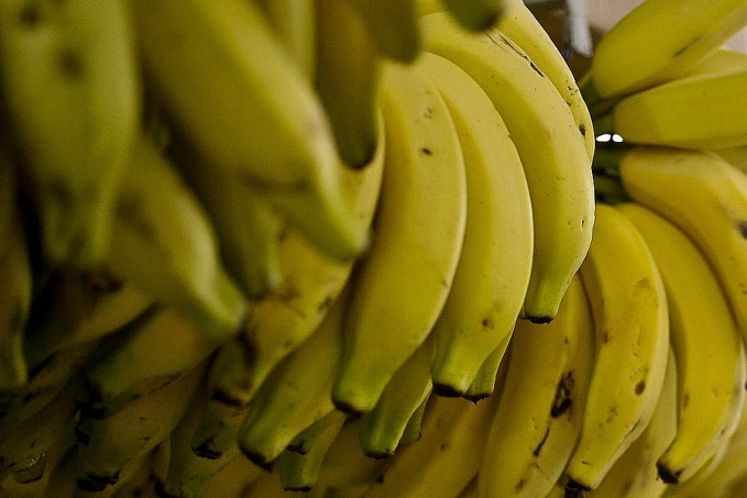 Conab: menor oferta eleva preços de hortaliças e frutas em setembro - News Rondônia