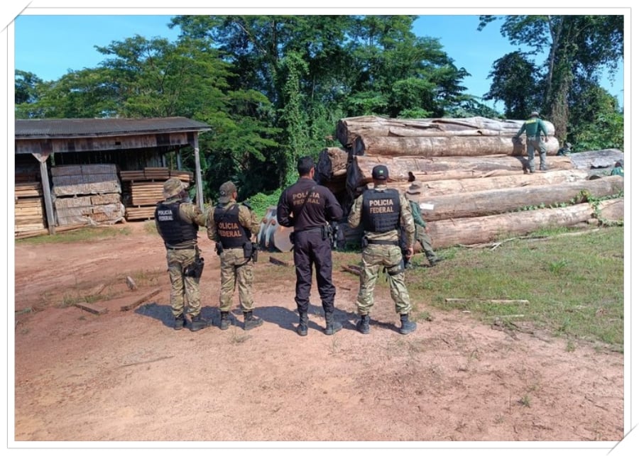 Garimpo ilegal fechado e maquinários destruídos, somam o resultado da ação pela PF, Ibama e Funai, na terra dos Uru-Eu-Wau-Wau - News Rondônia