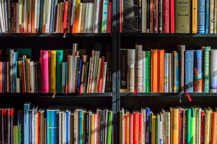 Sancionada lei que estabelece estímulo à leitura na educação básica - News Rondônia