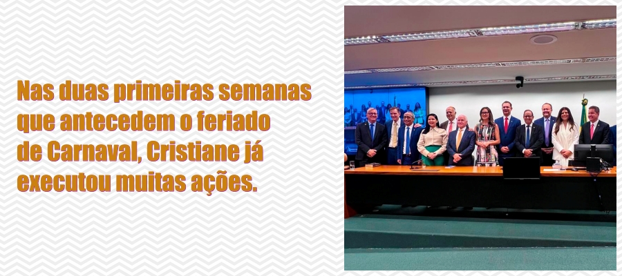 Deputada Federal Cristiane Lopes movimenta a Câmara dos Deputados em Brasília - News Rondônia