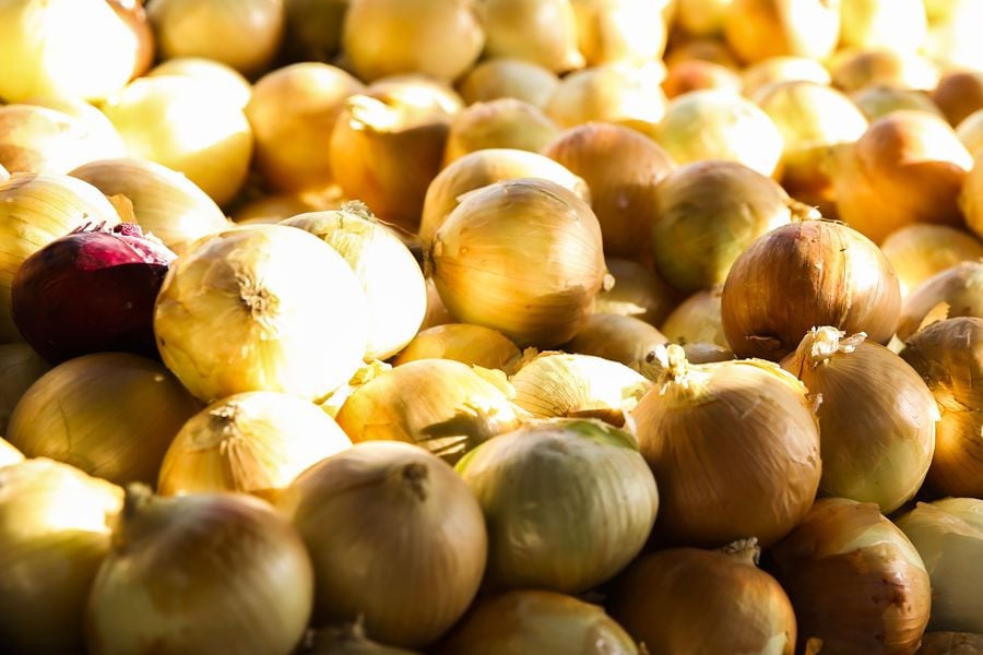 Cebola e tomate ficam mais baratos nas centrais de abastecimento - News Rondônia
