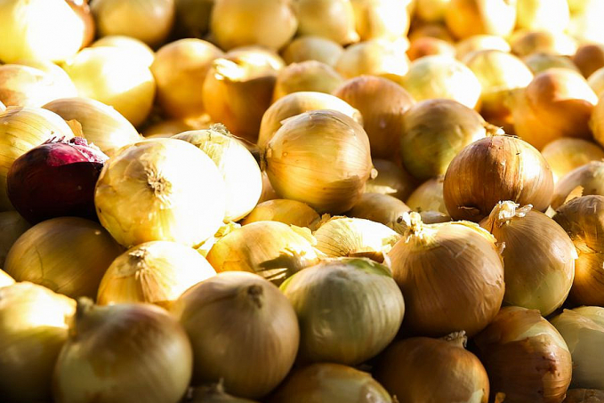 Cebola e tomate ficam mais baratos nas centrais de abastecimento - News Rondônia