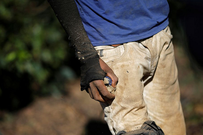Juristas pedem expropriação de terras de quem explora trabalho escravo - News Rondônia