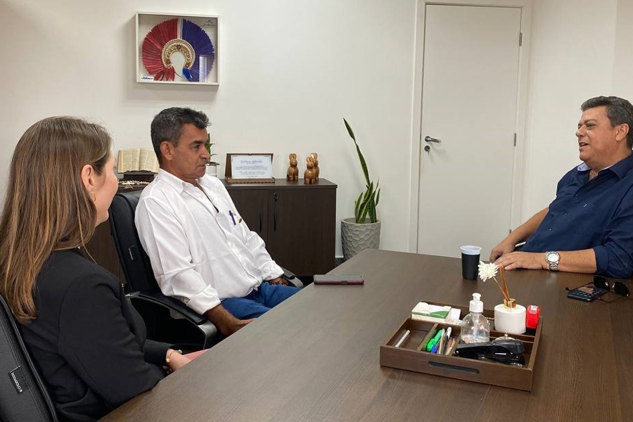 Gestores municipais buscam apoio da deputada Lebrinha para ações de desenvolvimento - News Rondônia