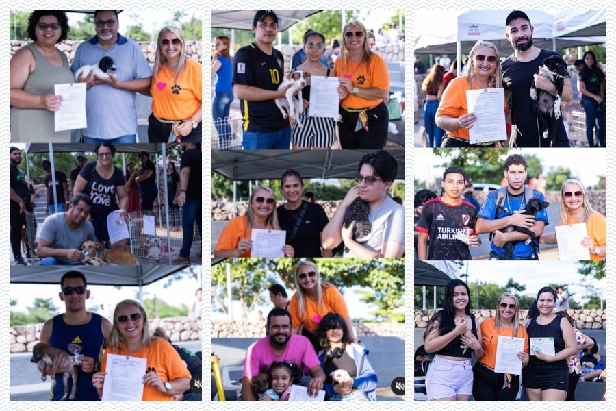 SEMA promove 5ª feira de adoção responsável de animais em Porto Velho com apoio da vereadora Márcia Socorrista Animais - News Rondônia