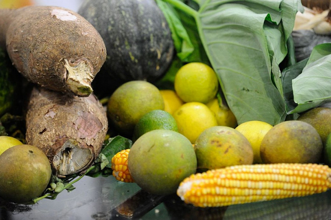 Brasileiros estão dispostos a pagar mais por alimentos saudáveis - News Rondônia