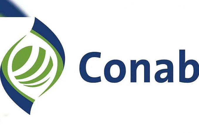 Conab inclui página especial sobre o algodão no Portal de Informações Agropecuárias - News Rondônia