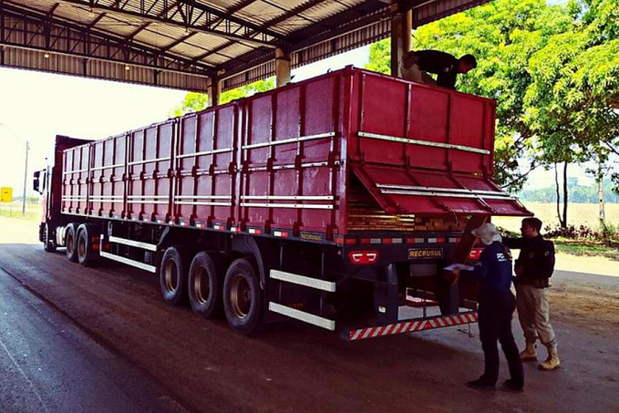 Em Rondônia, PRF identifica transportes irregulares de madeira - News Rondônia