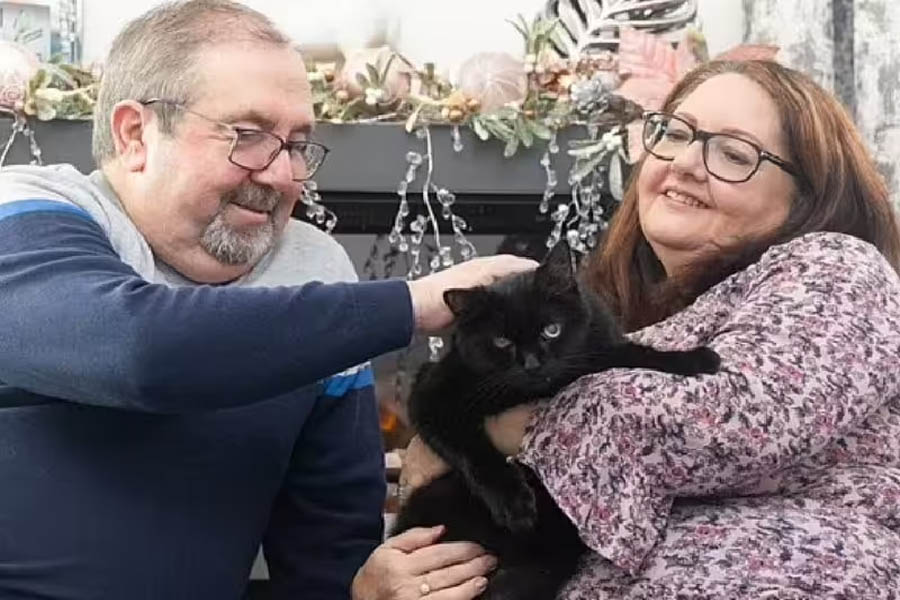 Após adotar gato preto, casal em dificuldades ganha na loteria e fica milionário - News Rondônia