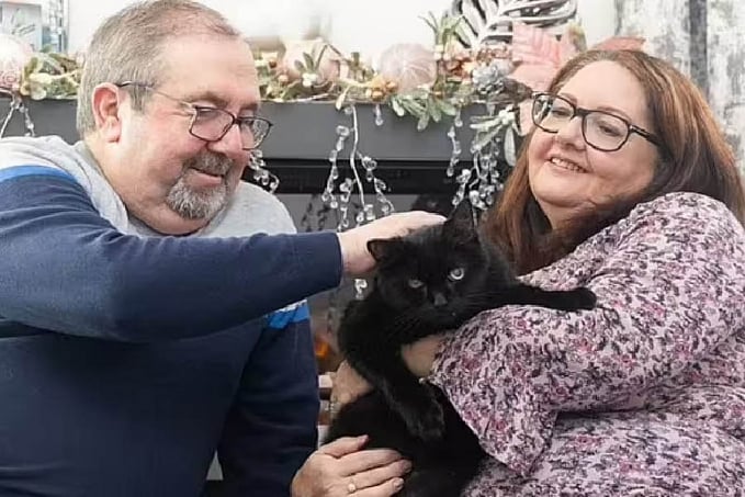 Após adotar gato preto, casal em dificuldades ganha na loteria e fica milionário - News Rondônia