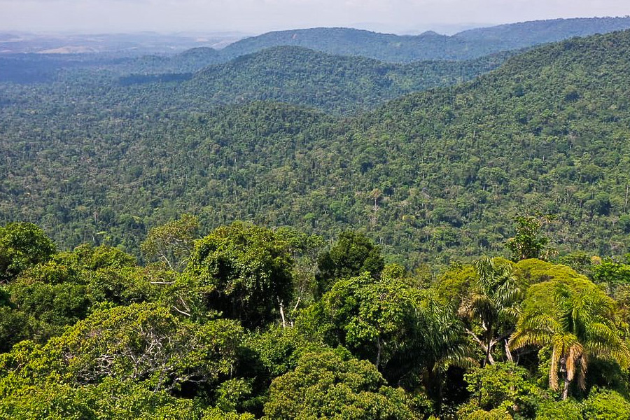 Lula cobra ajuda de países por preservação ambiental - News Rondônia