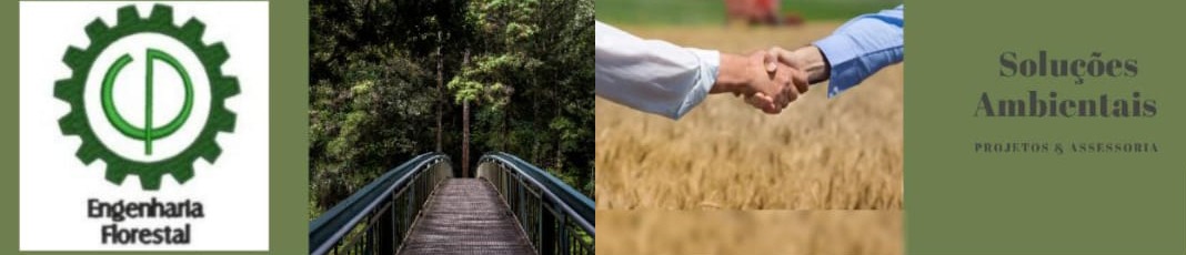 Requerimento da Licença Ambiental: IGB COMERCIO E SERVIÇOS LTDA - News Rondônia