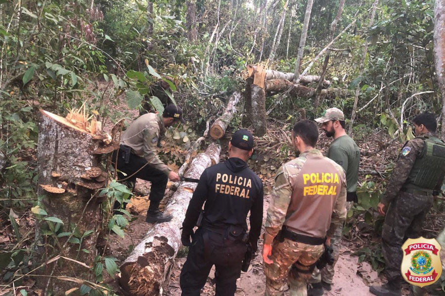 Polícia Federal realiza ação na Terra Indígena Tubarão Latundêe promove inutilização de equipamentos para extração ilícita de madeira - News Rondônia