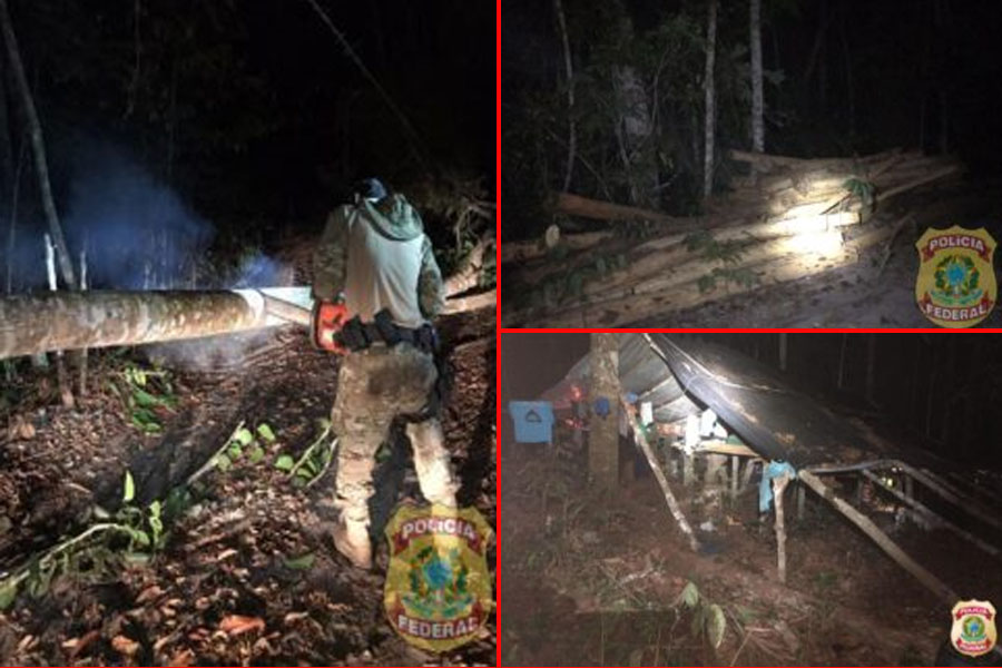 Polícia Federal realiza ação na Terra Indígena Tubarão Latundêe promove inutilização de equipamentos para extração ilícita de madeira - News Rondônia