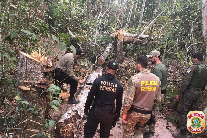 Polícia Federal realiza ação na Terra Indígena Tubarão Latundêe promove inutilização de equipamentos para extração ilícita de madeira - News Rondônia