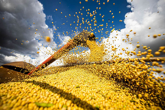 Agronegócio prevê alta dos custos de produção no próximo ano - News Rondônia