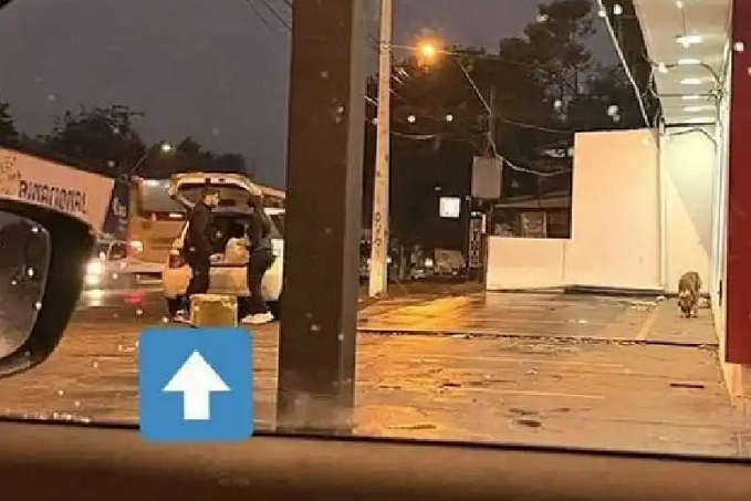 Casal anônimo sai toda noite para alimentar cães de rua; não têm ninguém - News Rondônia