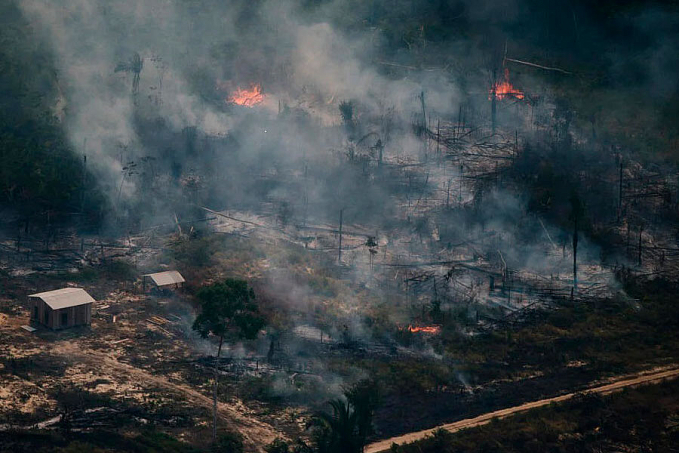 Amazônia: dezembro encerra com 150% de desmatamento - News Rondônia