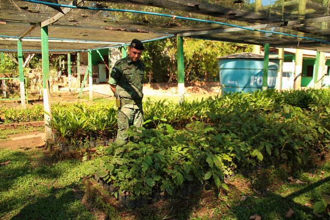 Podcast do Batalhão Ambiental abre Semana do Meio Ambiente, em Porto Velho - News Rondônia
