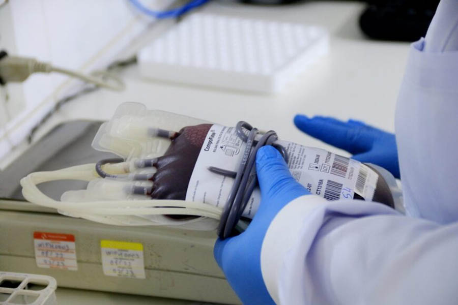 Vidas são salvas com ato voluntário de doações de sangue na Fhemeron - News Rondônia