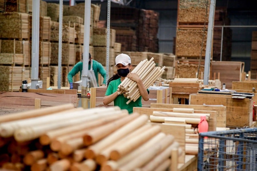Rondônia tem a 2ª menor taxa de desigualdade de renda do Brasil - News Rondônia