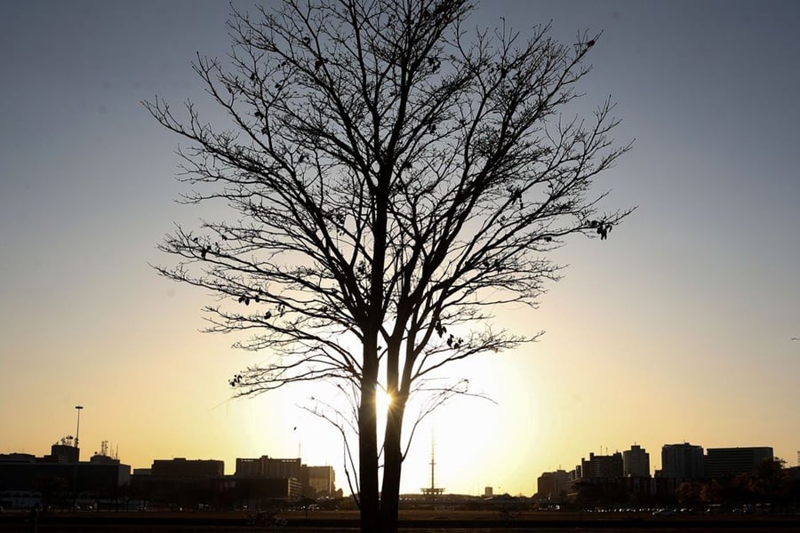 Temperaturas globais devem subir a níveis recordes nos próximos anos - News Rondônia