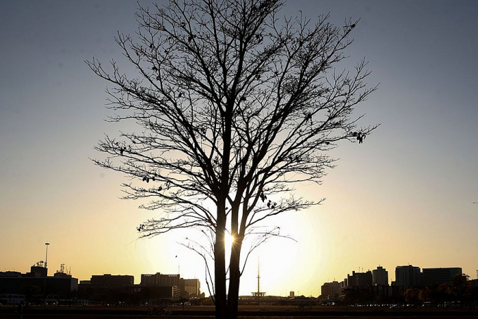 Temperaturas globais devem subir a níveis recordes nos próximos anos - News Rondônia