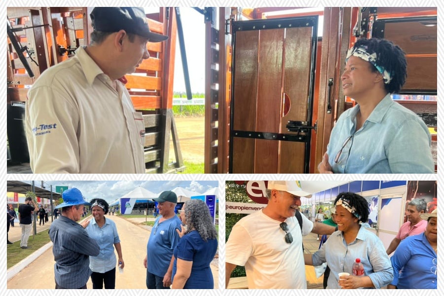 Deputada federal Sílvia Cristina diz que juros altos prejudicam produtores e travam novos investimentos - News Rondônia
