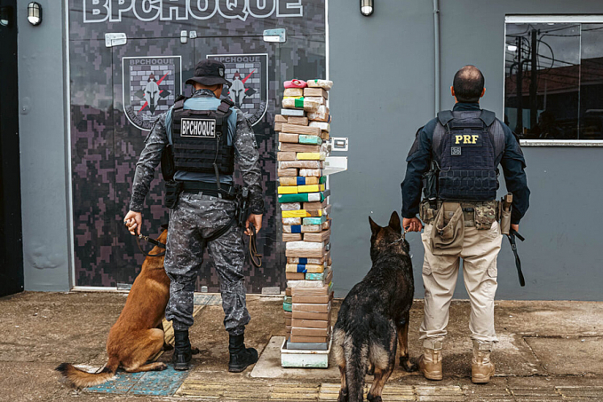 Operação conjunta das forças de segurança contra o crime organizado resulta em apreensão de drogas - News Rondônia