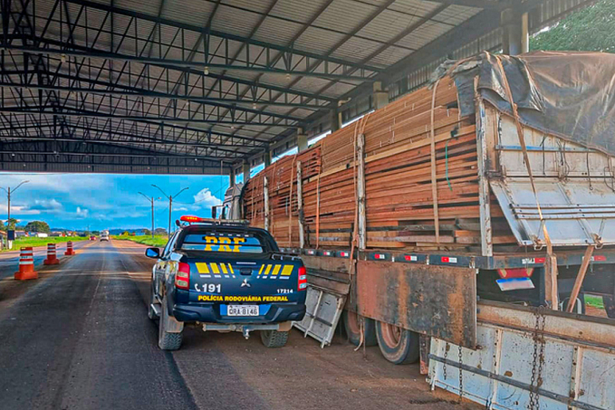 Em Ariquemes, PRF identifica transporte irregular de madeira - News Rondônia