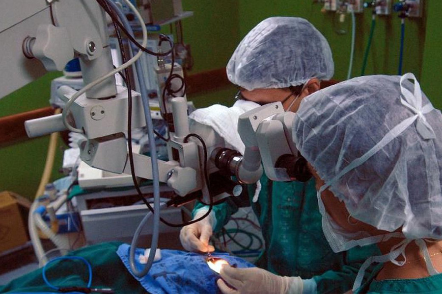 Hospitais universitários são referência em transplantes de órgãos - News Rondônia