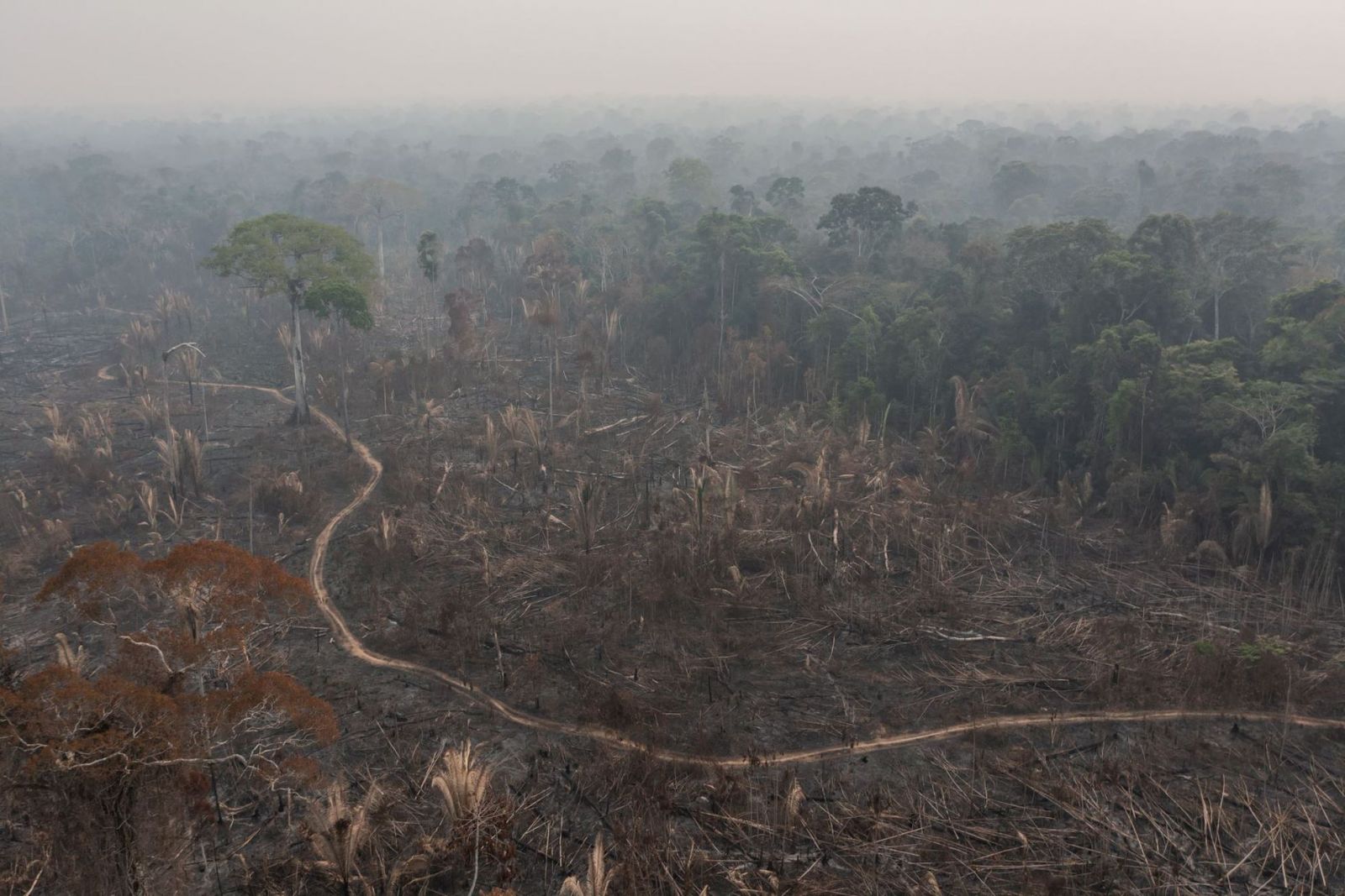 Porto Velho: município lista no ranking dos maiores emissores de dióxido de carbono - News Rondônia