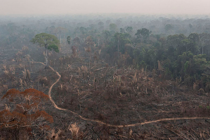 Porto Velho: município lista no ranking dos maiores emissores de dióxido de carbono - News Rondônia