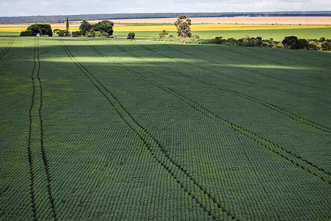 CMN aumenta prazo para análise de pedidos ao Proagro - News Rondônia