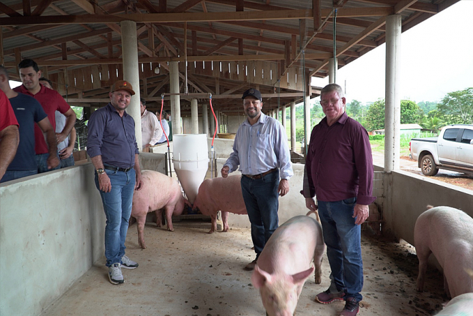 Matrizes suínas ajudam a fortalecer agricultura familiar - News Rondônia
