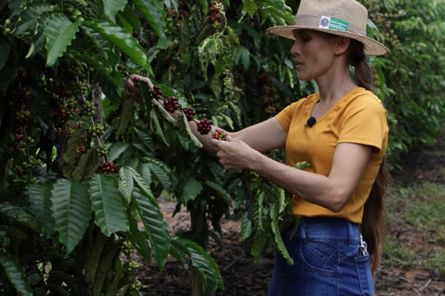 No Dia das Mães, cafeicultora de Novo Horizonte se destaca pelo trabalho com café e pelas premiações recebidas - News Rondônia